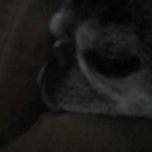 Meet your Posher, Brad